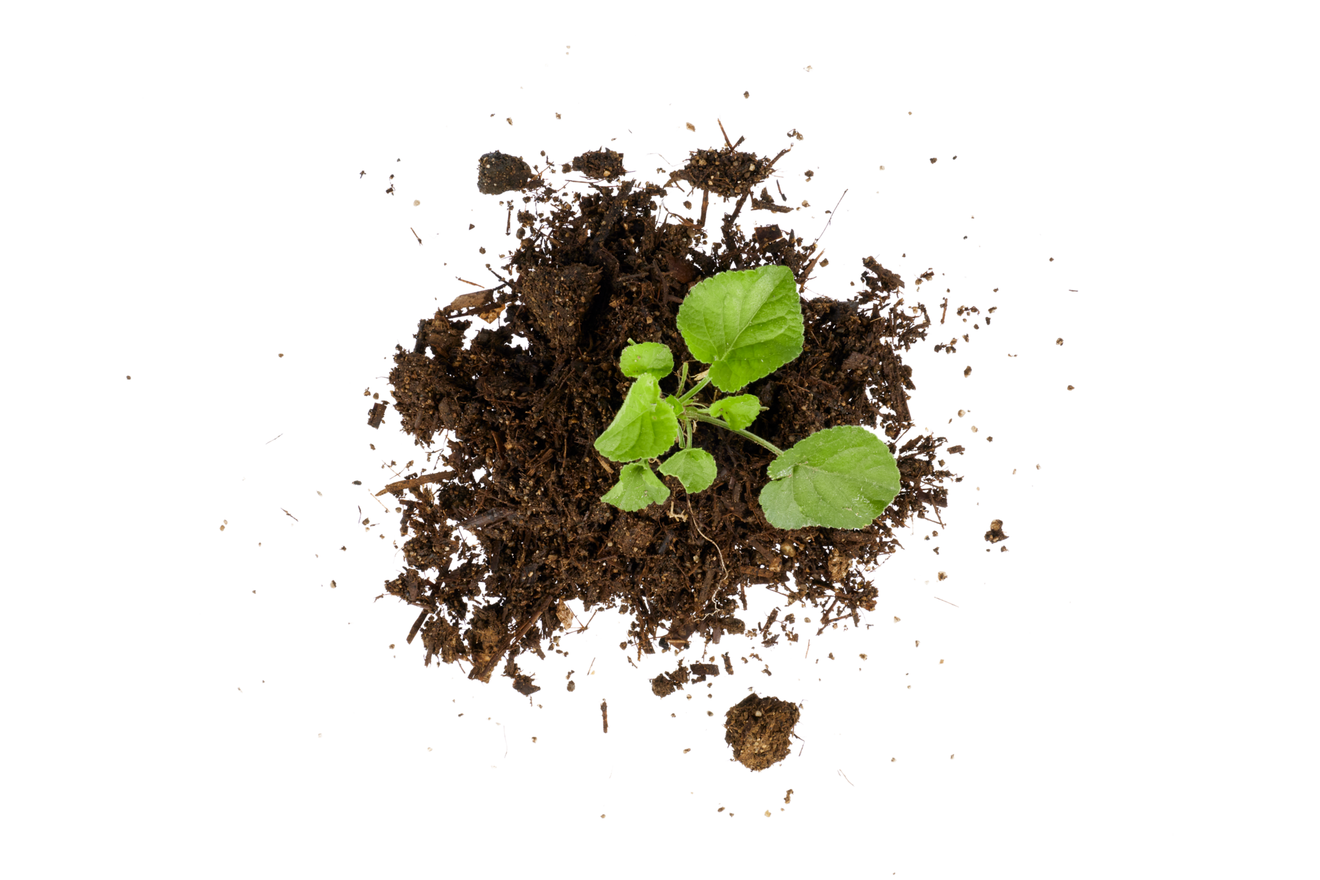 Symbolbild Bodenprofil