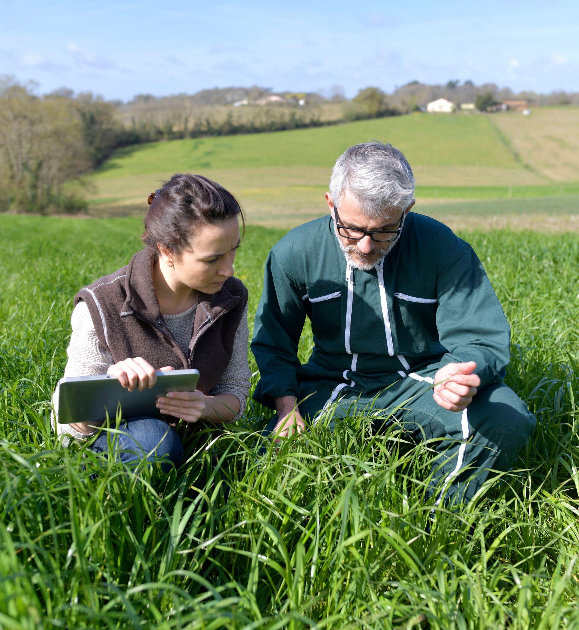 Symbolbild Baugrunduntersuchung